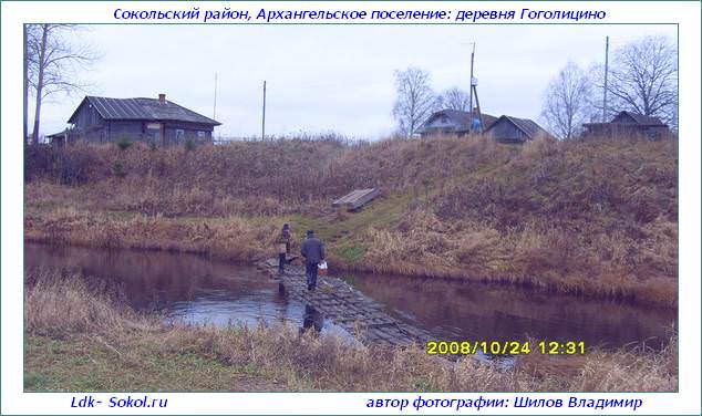 Деревня Гоголицино в Архангельском поселении Деревня Гоголицино в Архангельском поселении