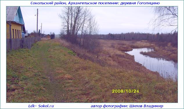 Деревня Гоголицино в Архангельском поселении Деревня Гоголицино в Архангельском поселении