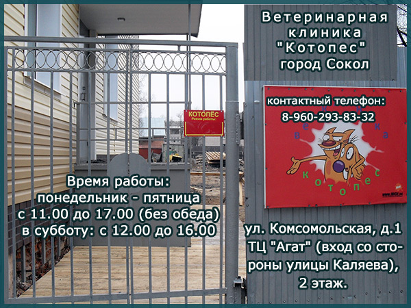 Ветеринарная клиника "Котопес" в городе Сокол