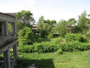 Санаторий-профилакторий «Лесная быль» - руины