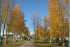 Осень в моём городе