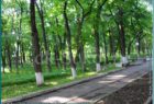 парки и скверы города Сокола
