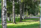 парки и скверы города Сокола