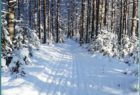 Лыжня здоровья, Сокольский район