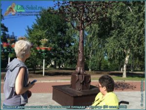 дерево-копилка на Кремлевской площади в Вологде