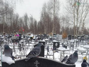 Кладбище возле д. Пятино г. Сокол (2 декабря 2020)