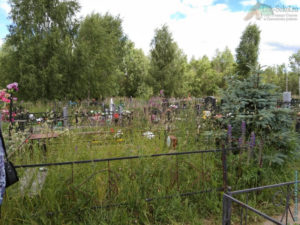 Кладбище возле деревни Пятино, Сокольский район