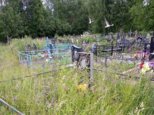 Кладбище возле деревни Пятино, Сокольский район