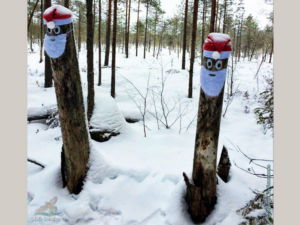 Лесные хранители в сокольском лесу...