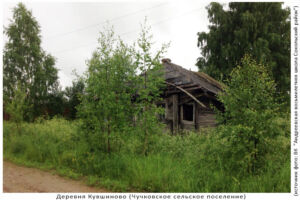 Деревня Кувшиново (Чучковское поселение) Сокольского района