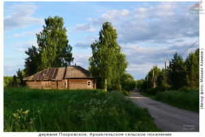 Деревня Покровское (Архангельское поселение)