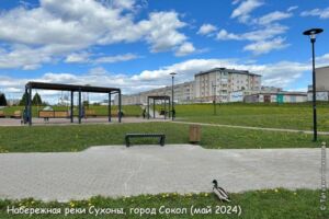 город Сокол, май 2024