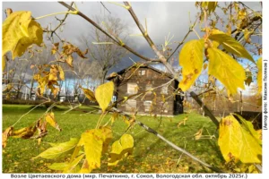 Цветаевский Дом (Печаткино, октябрь 2025)