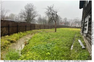 Территория Цветаевского Дома (Печаткино, 2 ноября 2025)