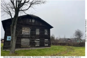 Территория Цветаевского Дома (Печаткино, 2 ноября 2025)