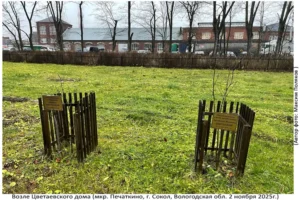 Территория Цветаевского Дома (Печаткино, 2 ноября 2025)