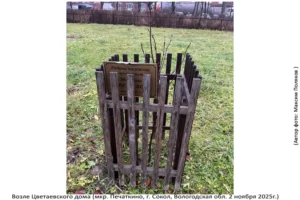 Территория Цветаевского Дома (Печаткино, 2 ноября 2025)