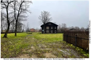 Территория Цветаевского Дома (Печаткино, 2 ноября 2025)
