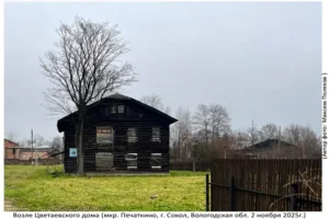 Территория Цветаевского Дома (Печаткино, 2 ноября 2025)