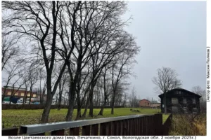 Территория Цветаевского Дома (Печаткино, 2 ноября 2025)