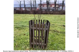 Территория Цветаевского Дома (Печаткино, 2 ноября 2025)