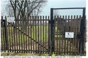 Территория Цветаевского Дома (Печаткино, 2 ноября 2025)