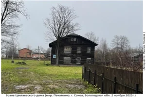 Территория Цветаевского Дома (Печаткино, 2 ноября 2025)