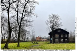 Территория Цветаевского Дома (Печаткино, 2 ноября 2025)