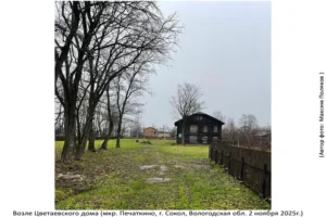 Территория Цветаевского Дома (Печаткино, 2 ноября 2025)