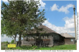 Деревня Дьяково