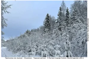 Лыжня здоровья: Солдек - Окулиха