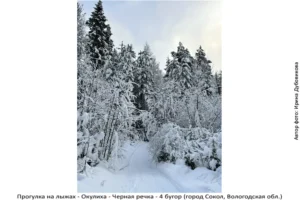 Лыжня здоровья: Солдек - Окулиха