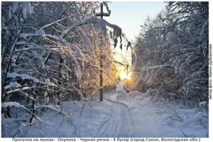 Лыжня здоровья: Солдек - Окулиха