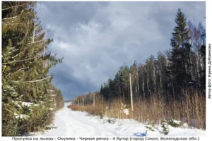 Лыжня здоровья: Солдек - Окулиха