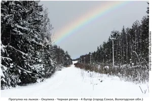 Лыжня здоровья: Солдек - Окулиха