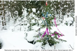 Лыжня здоровья: Солдек - Окулиха
