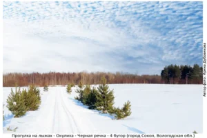 Лыжня здоровья: Солдек - Окулиха