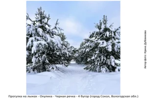 Лыжня здоровья: Солдек - Окулиха