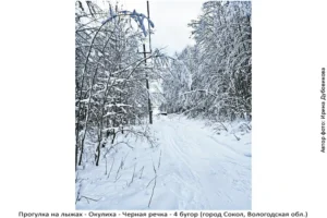 Лыжня здоровья: Солдек - Окулиха
