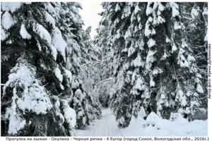 Лыжня здоровья: Солдек - Окулиха
