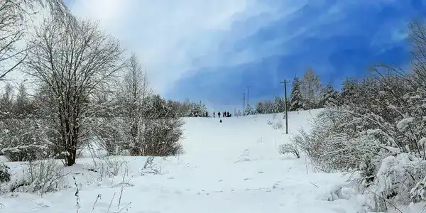 Лыжня здоровья