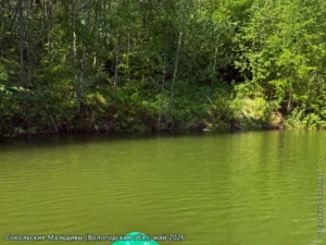 Сокольские Мальдивы