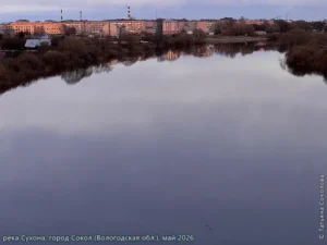 река Сухона, май 2026 г.