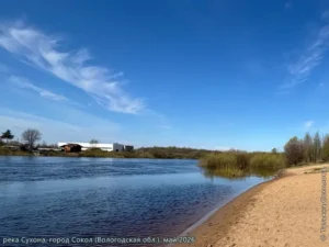 река Сухона, май 2026 г.