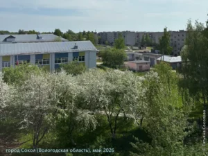 город Сокол, май 2026 г.