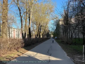 город Сокол, май 2026 г.