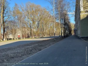 город Сокол, май 2026 г.