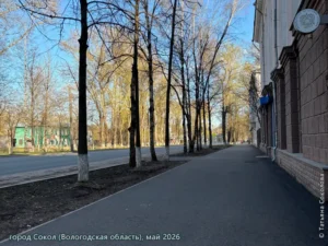город Сокол, май 2026 г.