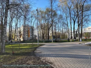 город Сокол, май 2026 г.