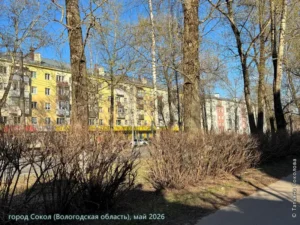 город Сокол, май 2026 г.